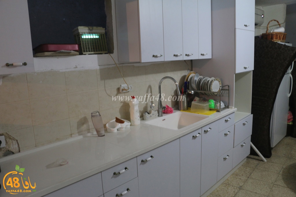 tarmeem botyiyu (10).JPG